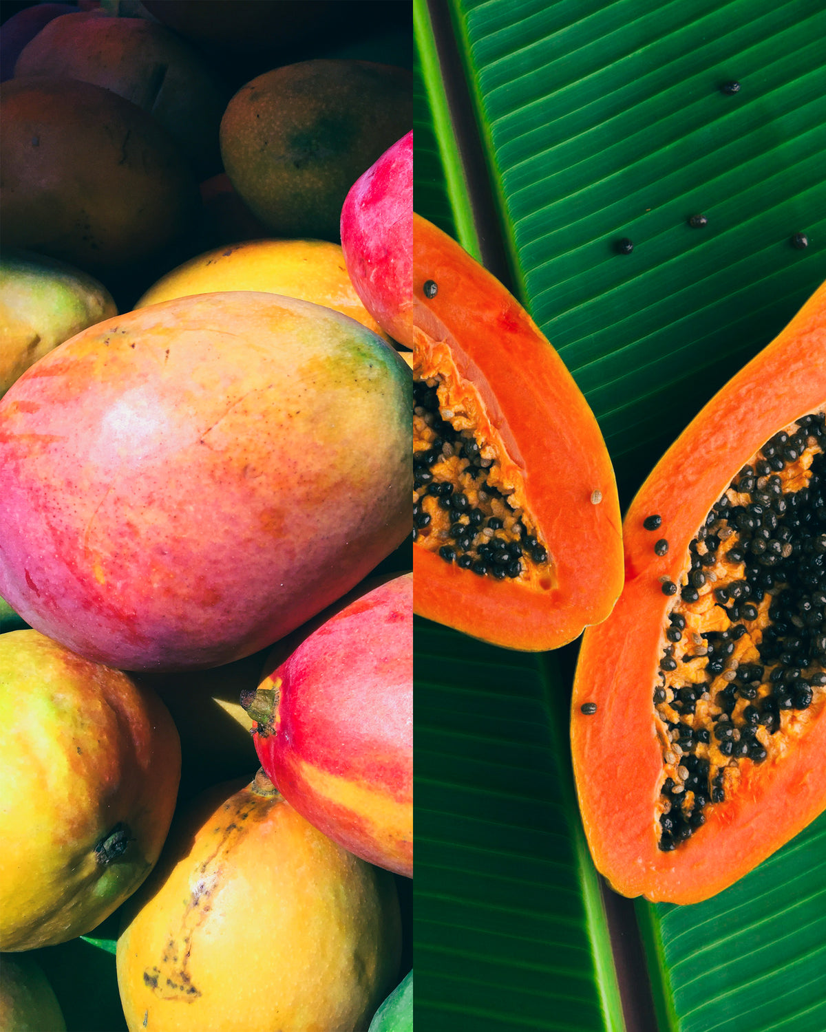 Mango Papaya Bar Soap
